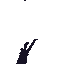 Foreground